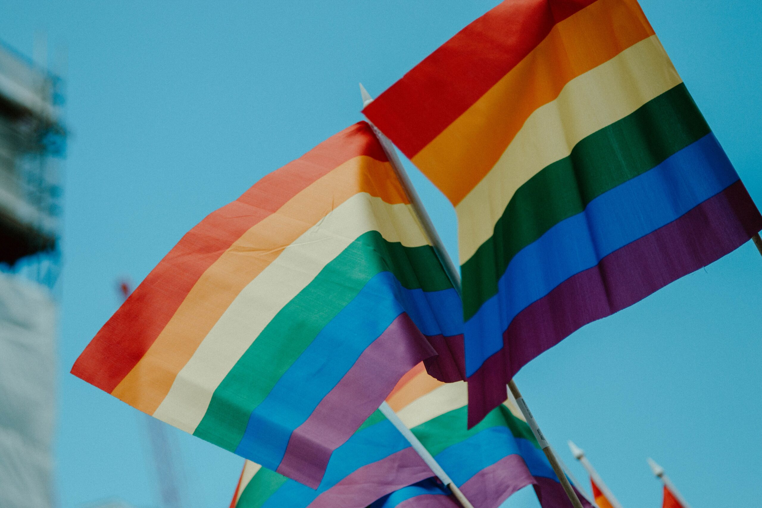 Bandeiras LGBTQIA+ sendo estendidas | Image: Uso autorizado sob licença Unsplash